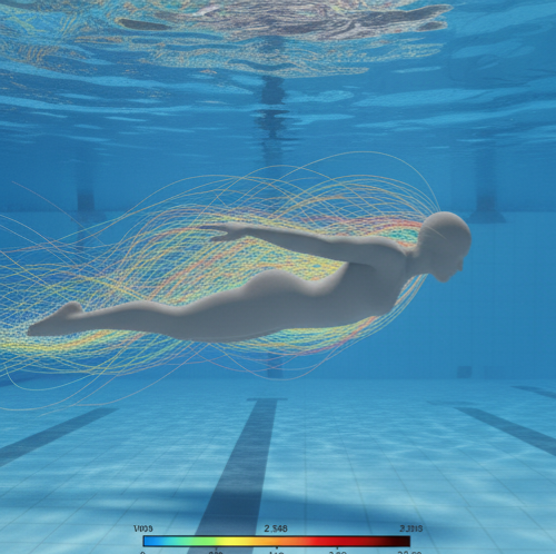 CFD Streamline Interaction